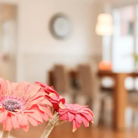 Logierhaus-greetsiel 1 Apartmán *